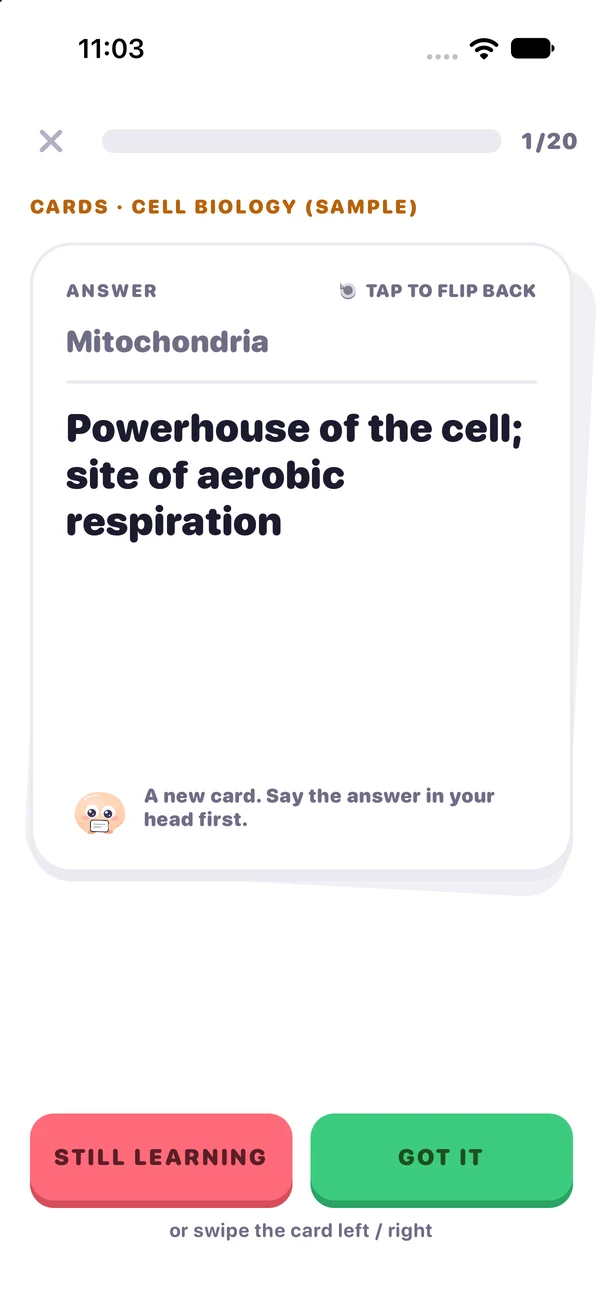 A Vocory flashcard