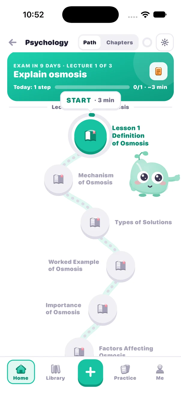 A class lesson path in Vocory