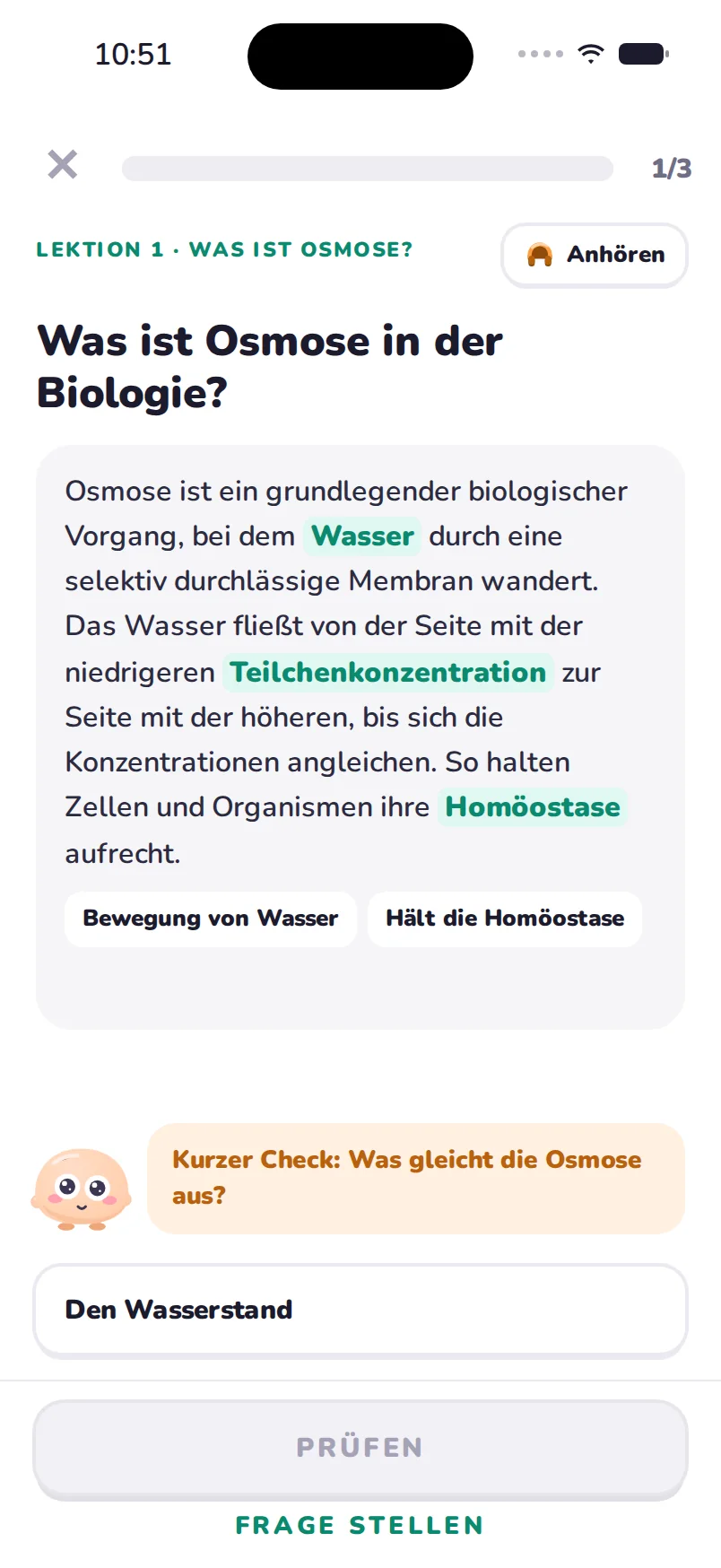 Kurze Lektionen entlang deiner Vorlesung
