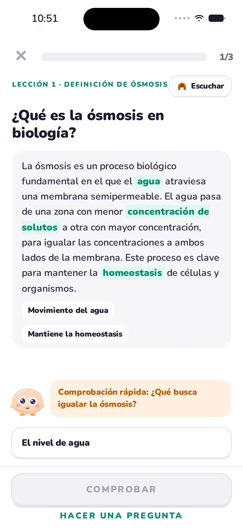 Lecciones cortas que siguen tu clase